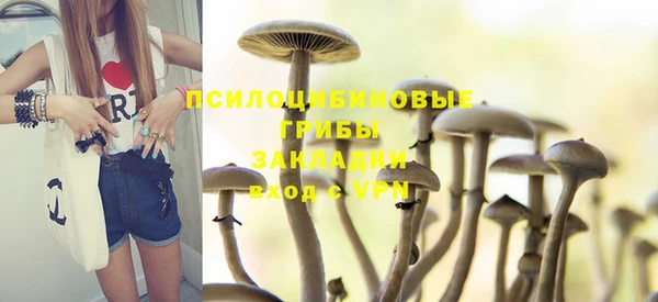 мет Аркадак